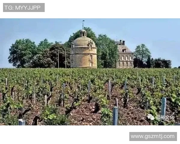 足球明星波尔多的辉煌历程与传奇瞬间回顾