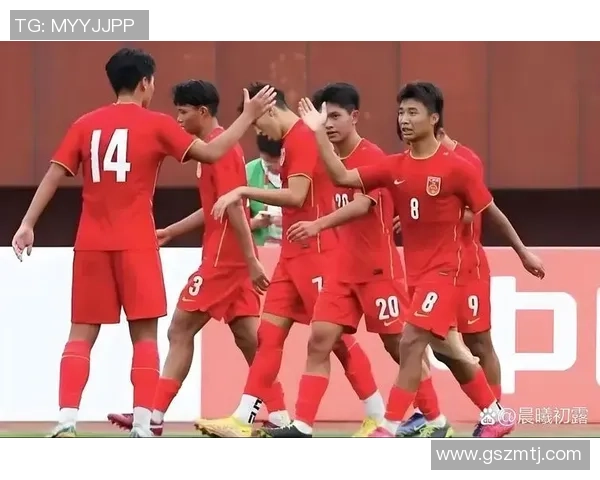 南京足球队在足球比赛经验排名中创下新高引发广泛关注与讨论